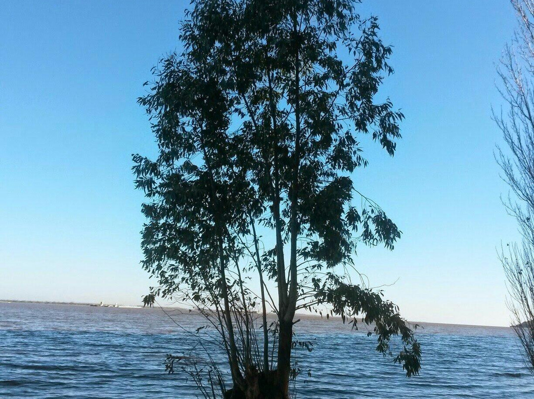 Nueva Palmira旅游景点-Balneario Brisas