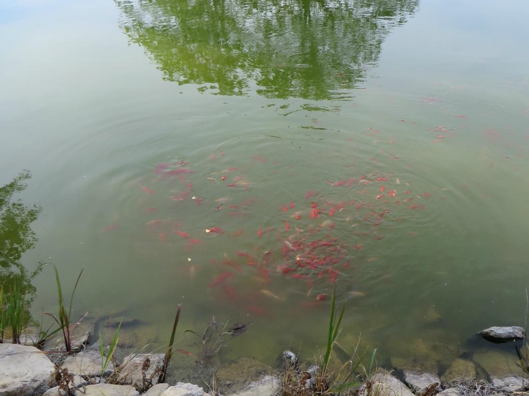 Marydale Inn Bed & Breakfast主图