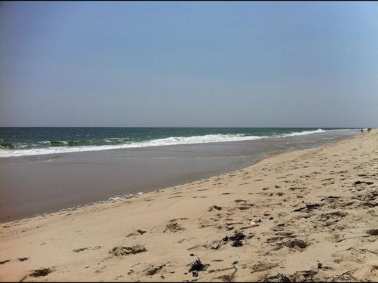 Ponquogue Beach景点图片