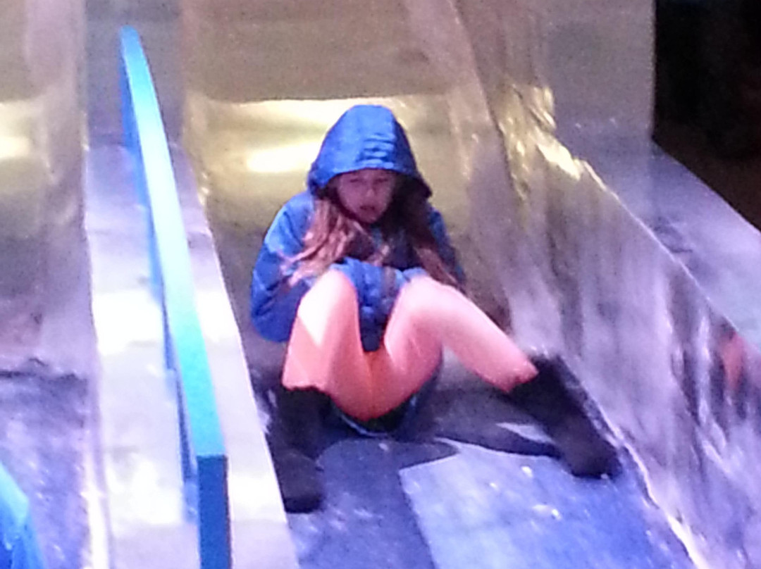 Gaylord Palms Resort & Convention Center-基西米必去景点