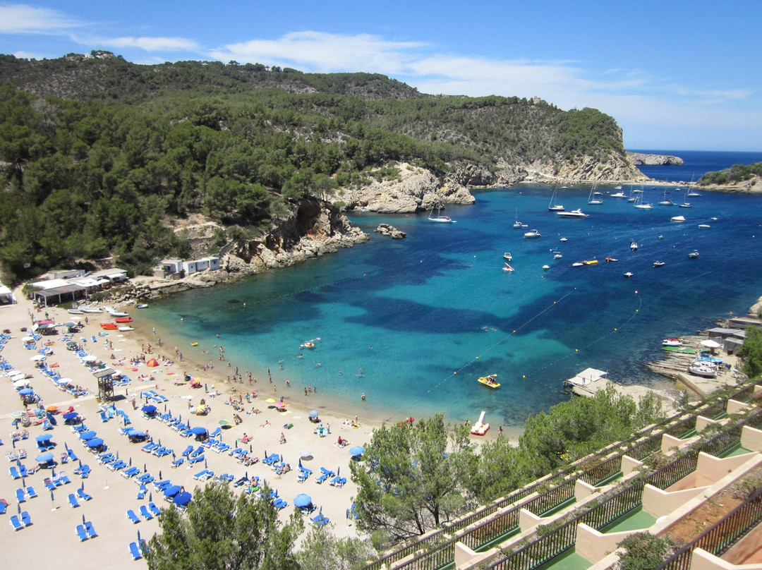 Playa Puerto de San Miguel景点图片