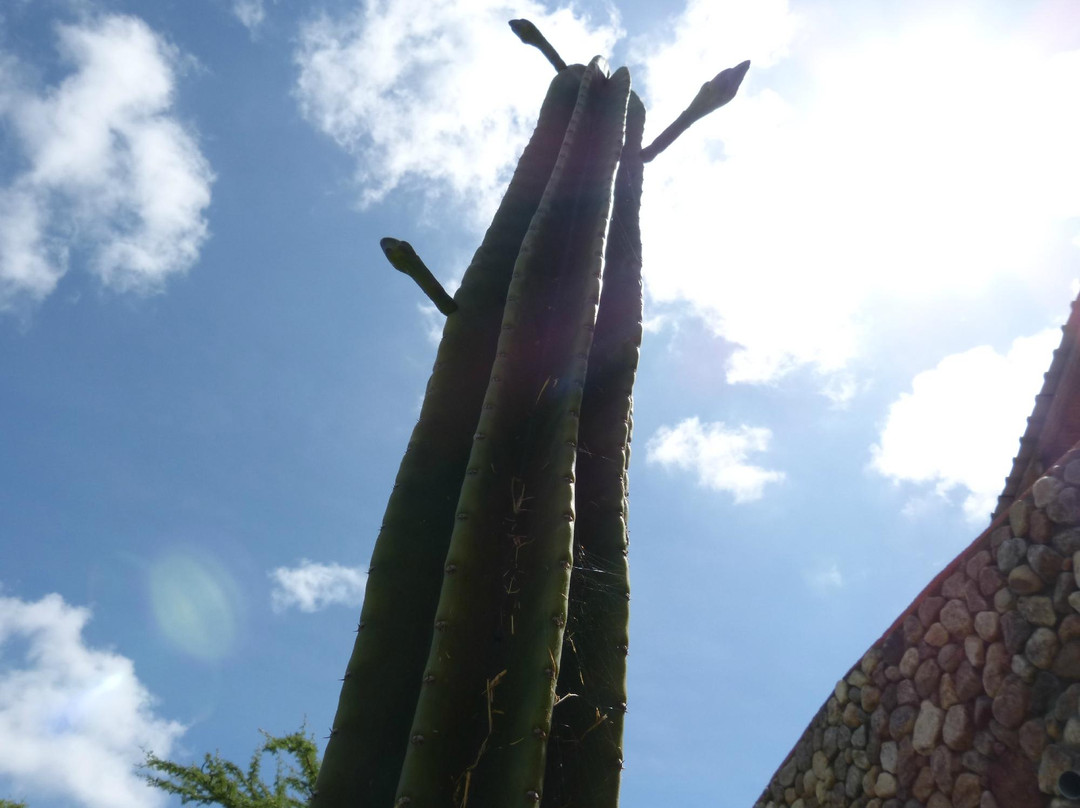 Maanzoni Sanctuary-Machakos必去景点