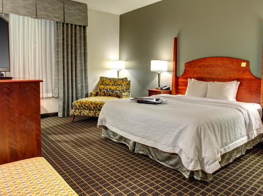 格林维尔酒店住宿-Hampton Inn & Suites Greenville-Downtown-RiverPlace