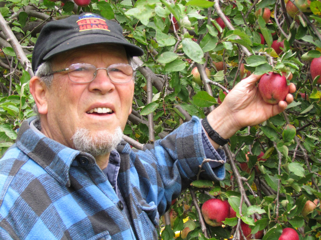 Mystic Meadow B&B主图