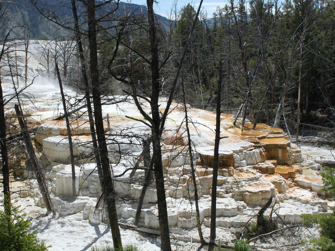猛犸象温泉-黄石国家公园必去景点