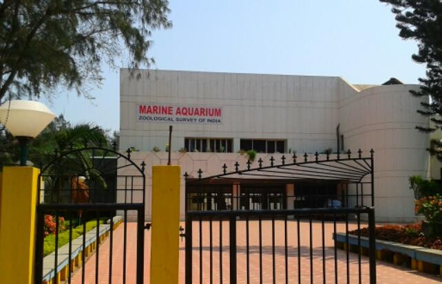 Marine Aquarium景点图片