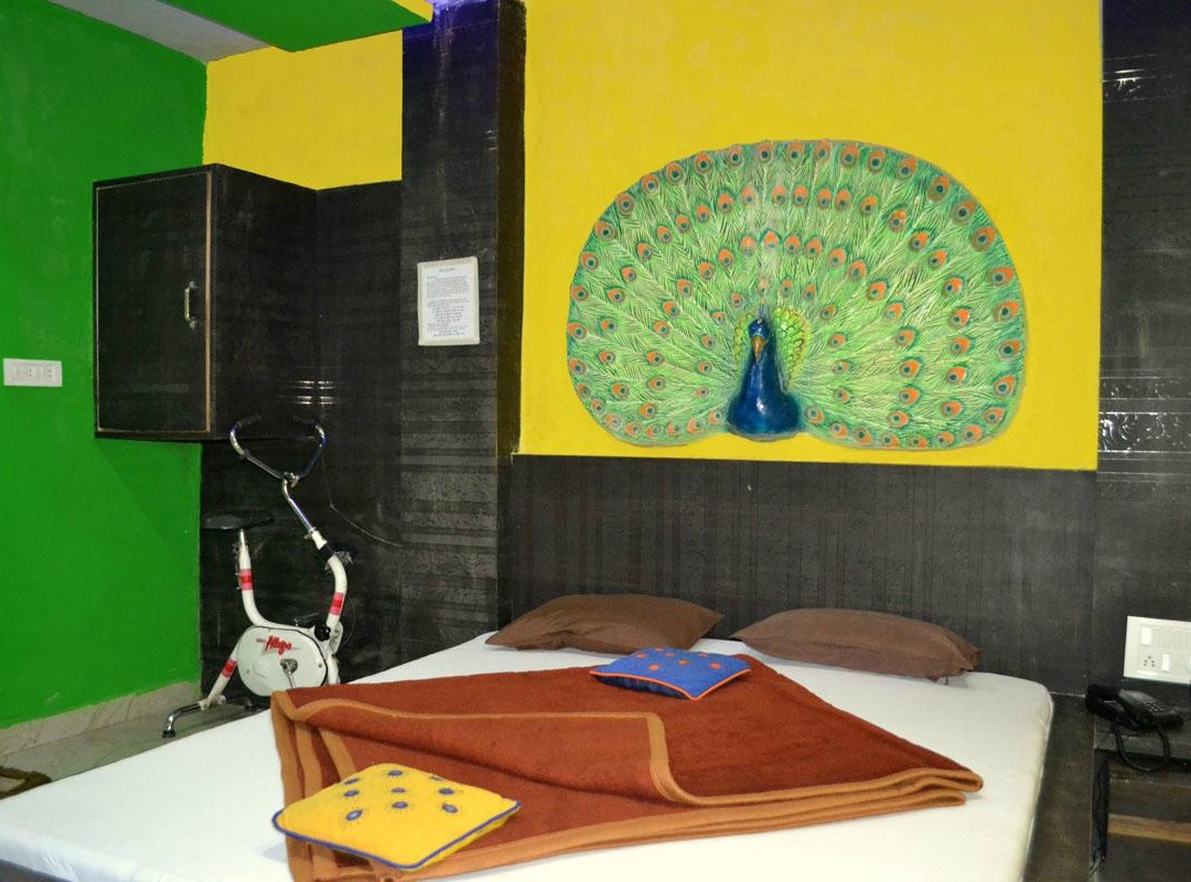 Hotel Mrignayani主图