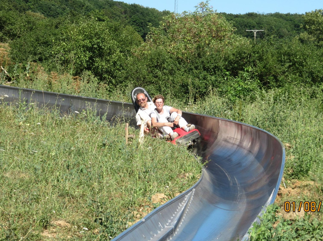 Sommerrodelbahn Loreley-Bob景点图片