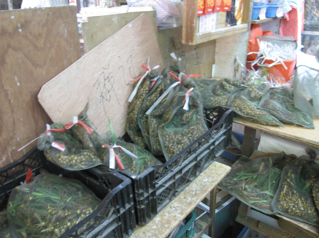 鸟市-香港必去景点