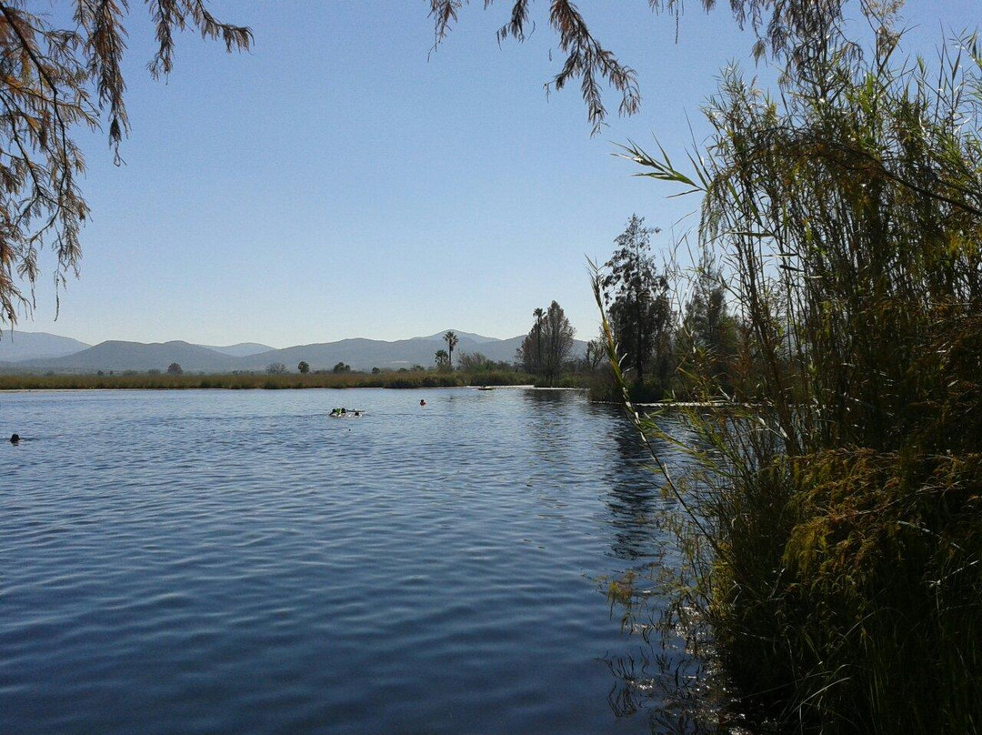 Laguna de la Media Luna景点图片
