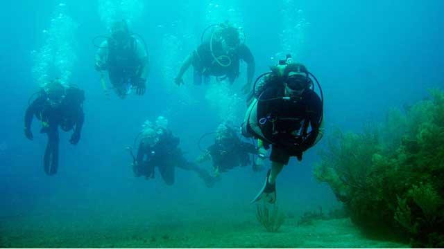 Perth Scuba景点图片