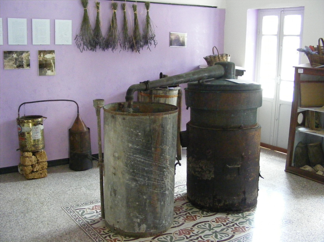 Museo della Lavanda-Carpasio必去景点