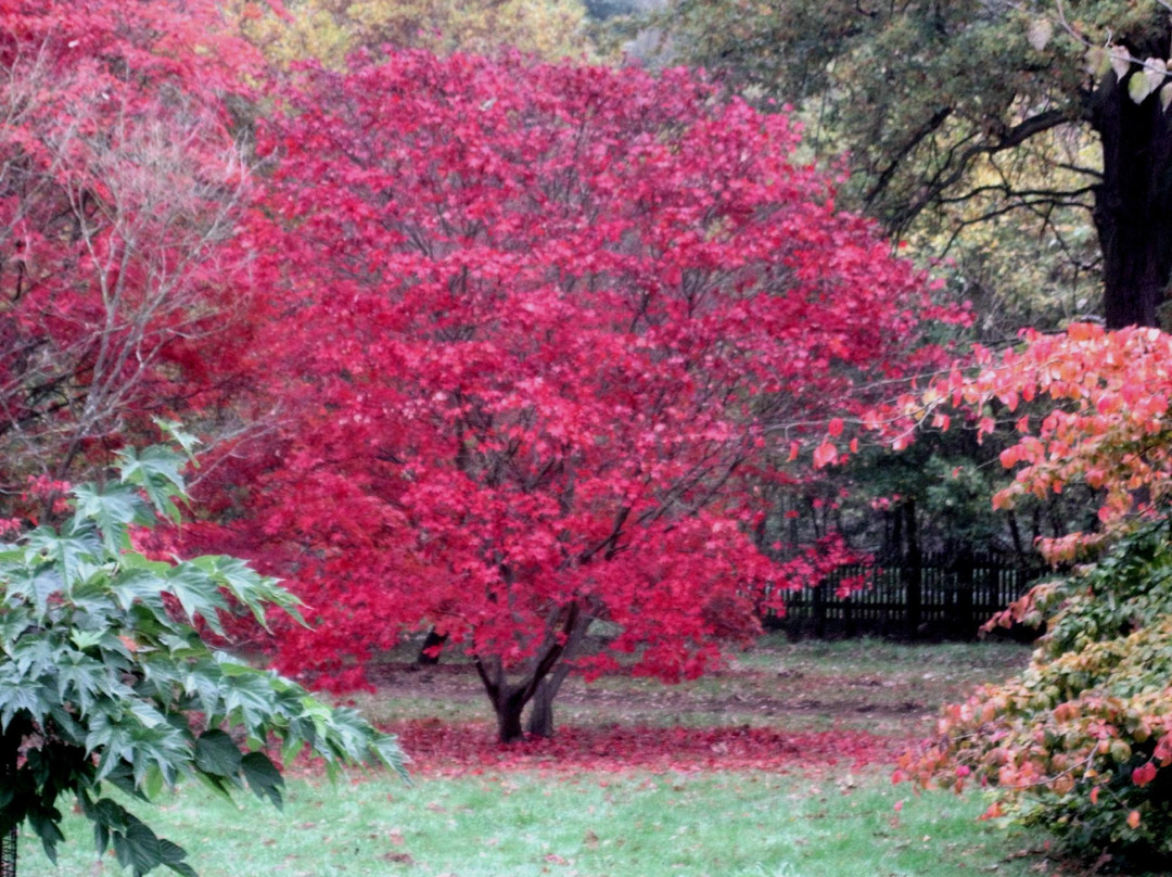 The University of Oxford Harcourt Arboretum景点图片