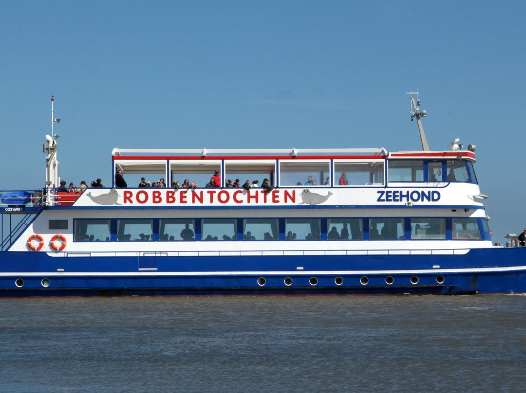 De Zeehond - Seal Boat Tour景点图片