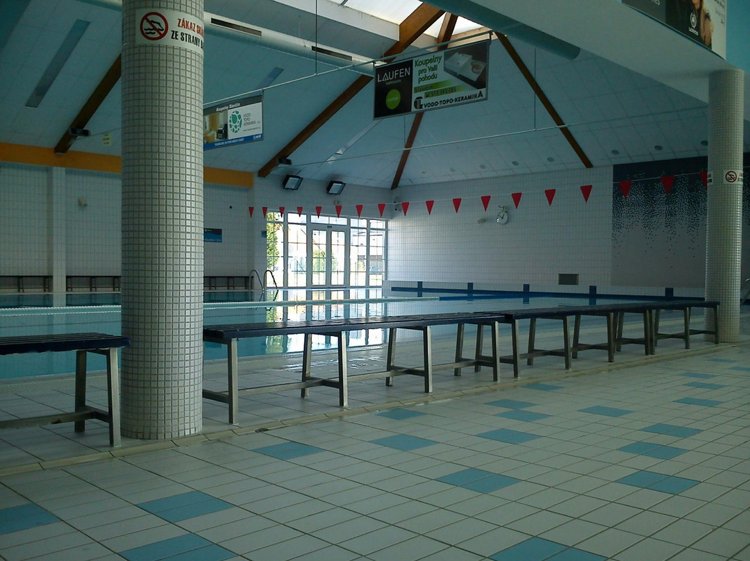 Aquapark CPA Delfin-Uhersky Brod必去景点