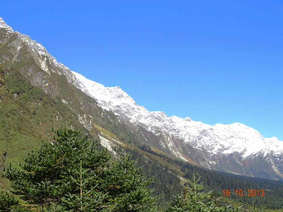 Shingba Rhododendron Sanctuary-甘托克必去景点