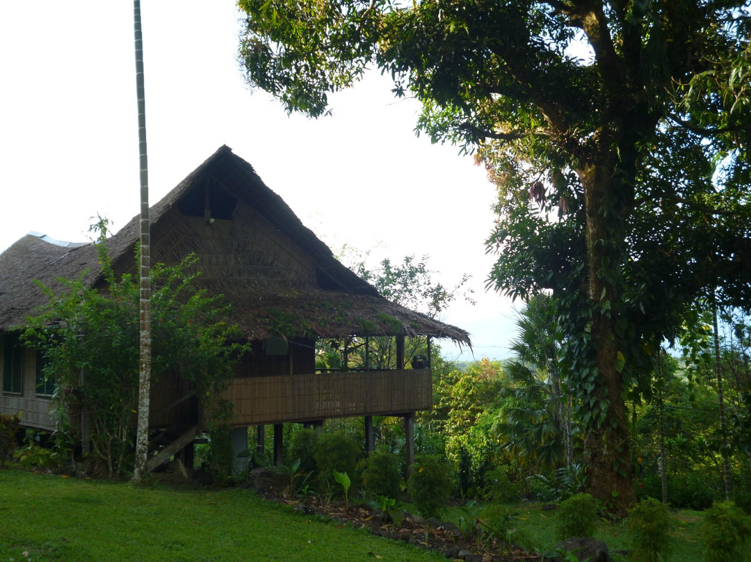 Ulumani Treetops Rainforest Lodge