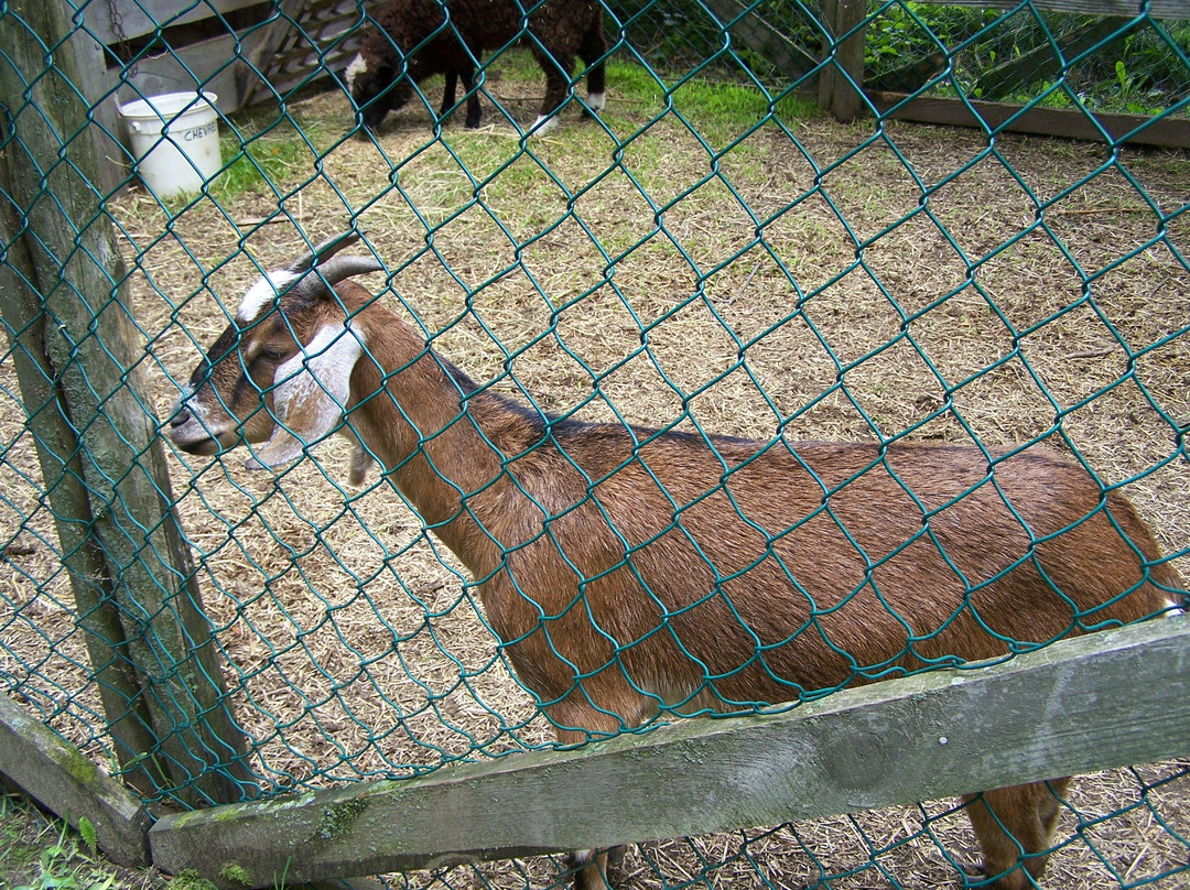 Les Jardins Dugré-三河市必去景点