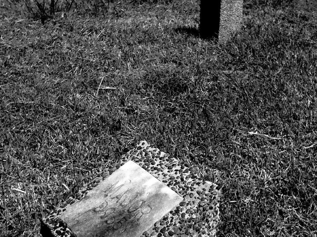 K-9 Cemetery / Military Working Dogs Cemetery景点图片