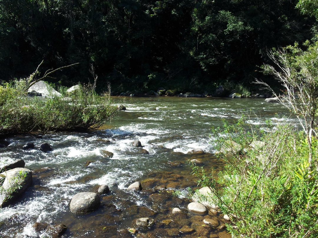 Rio Cubatao-瓜拉图巴必去景点
