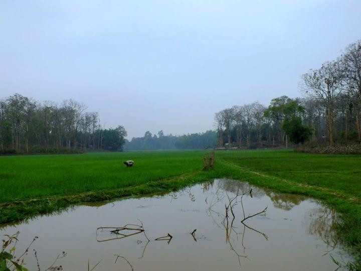 Rema-Kalenga Wildlife Sanctuary-锡尔赫特必去景点
