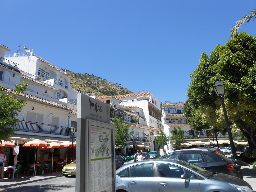 Plaza de la Constitución景点图片