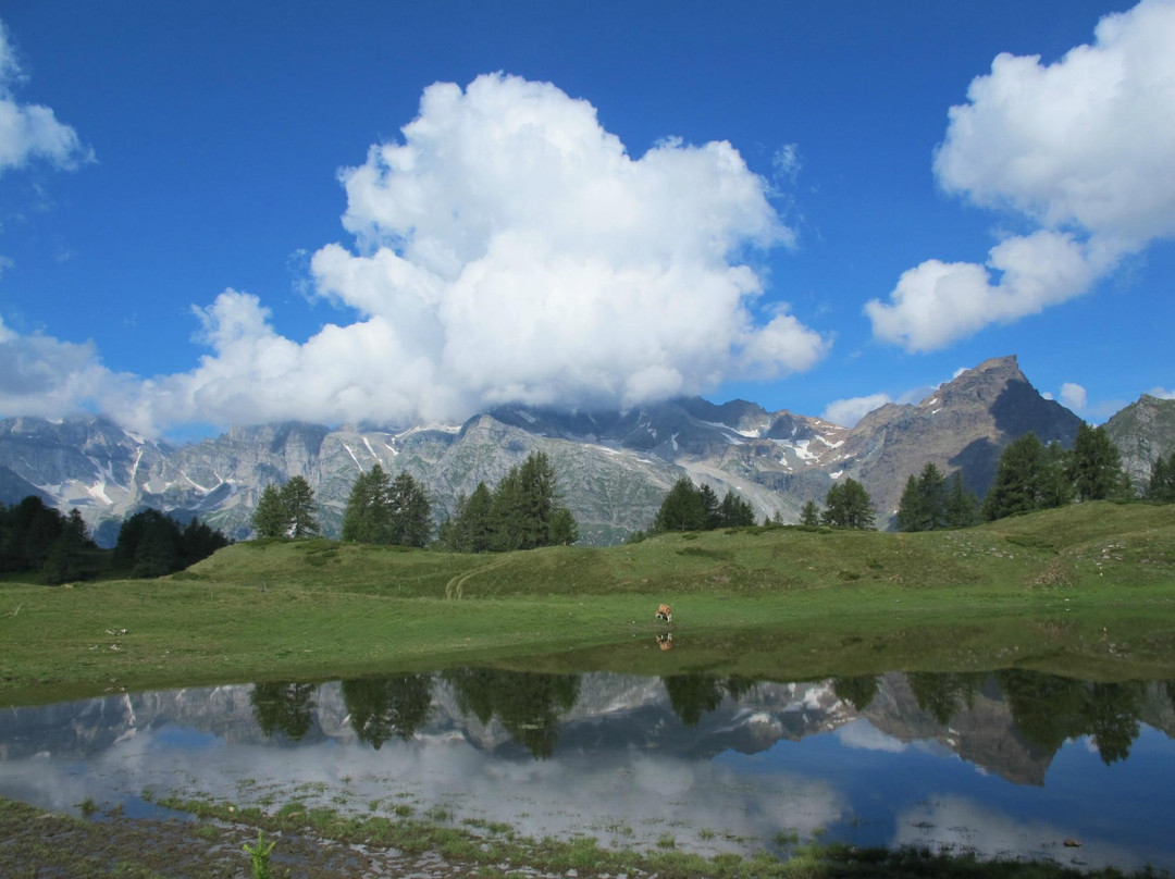 Parco Naturale Alpe Veglia Alpe Devero-Baceno必去景点