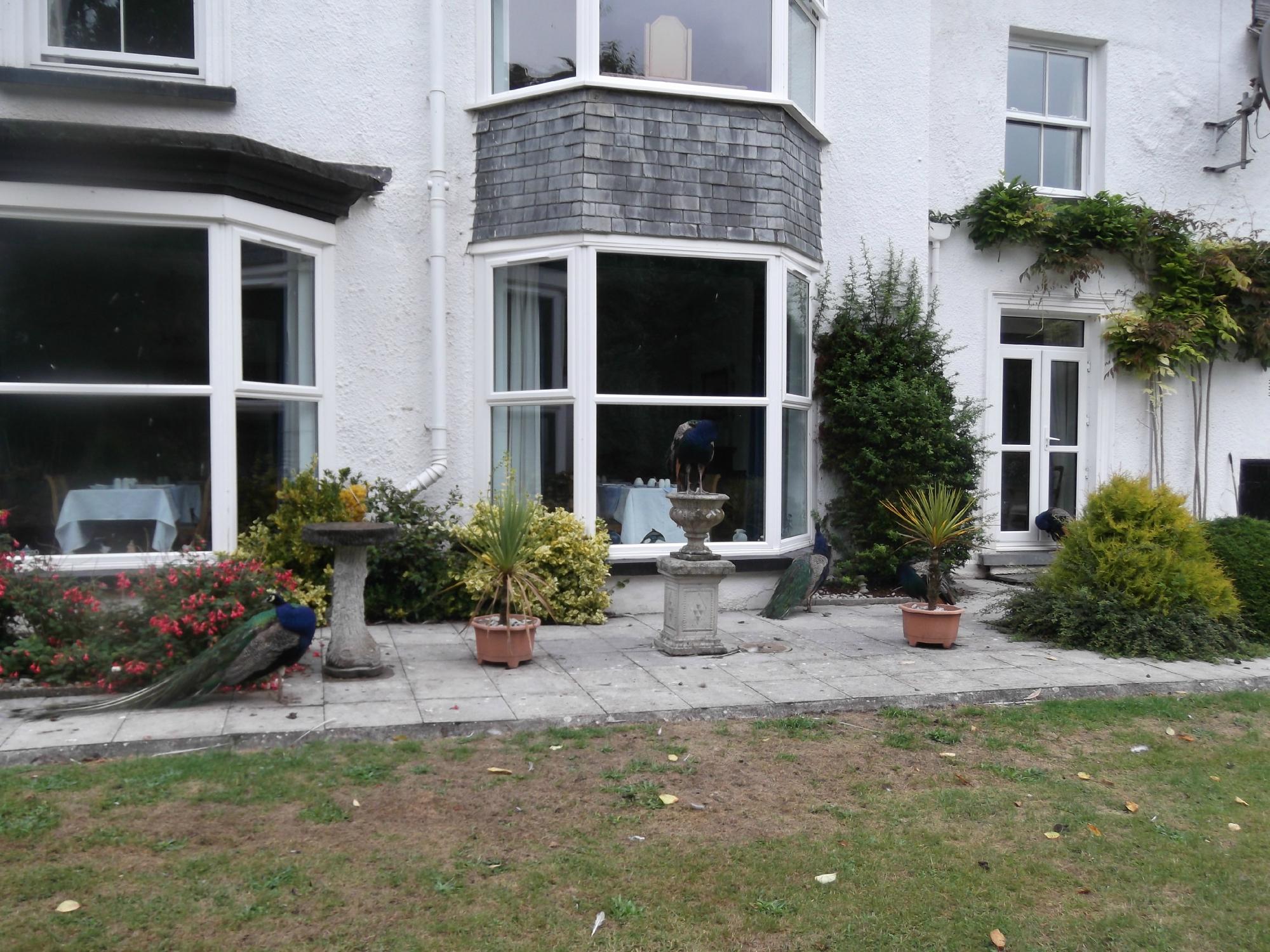 Lanarth Hotel and Caravan Park-浴室