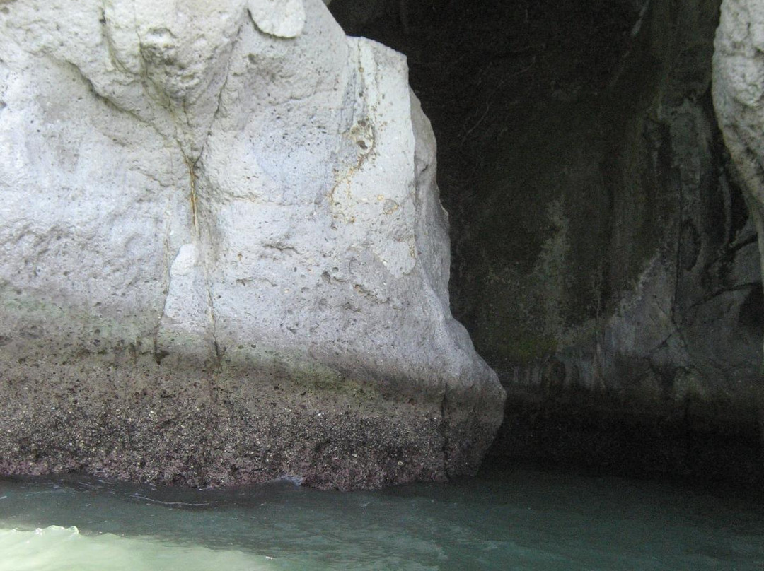 Cathedral Cove Scenic Cruises-菲蒂昂格必去景点