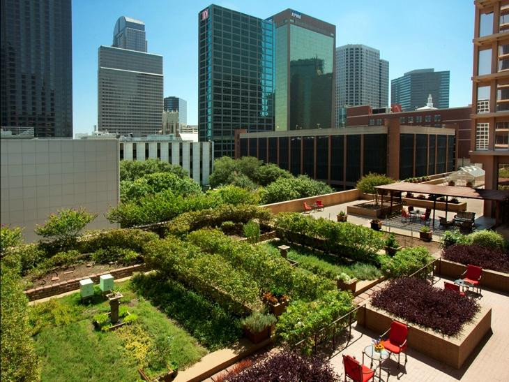 达拉斯酒店住宿-费尔蒙达拉斯酒店