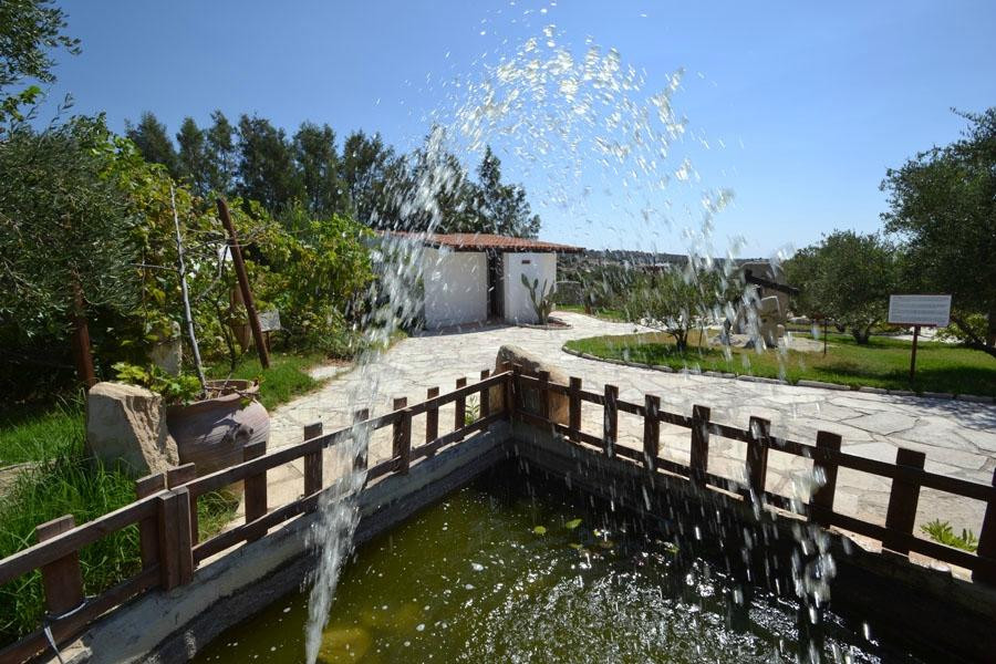 Oleastro Olive Park and Museum景点图片