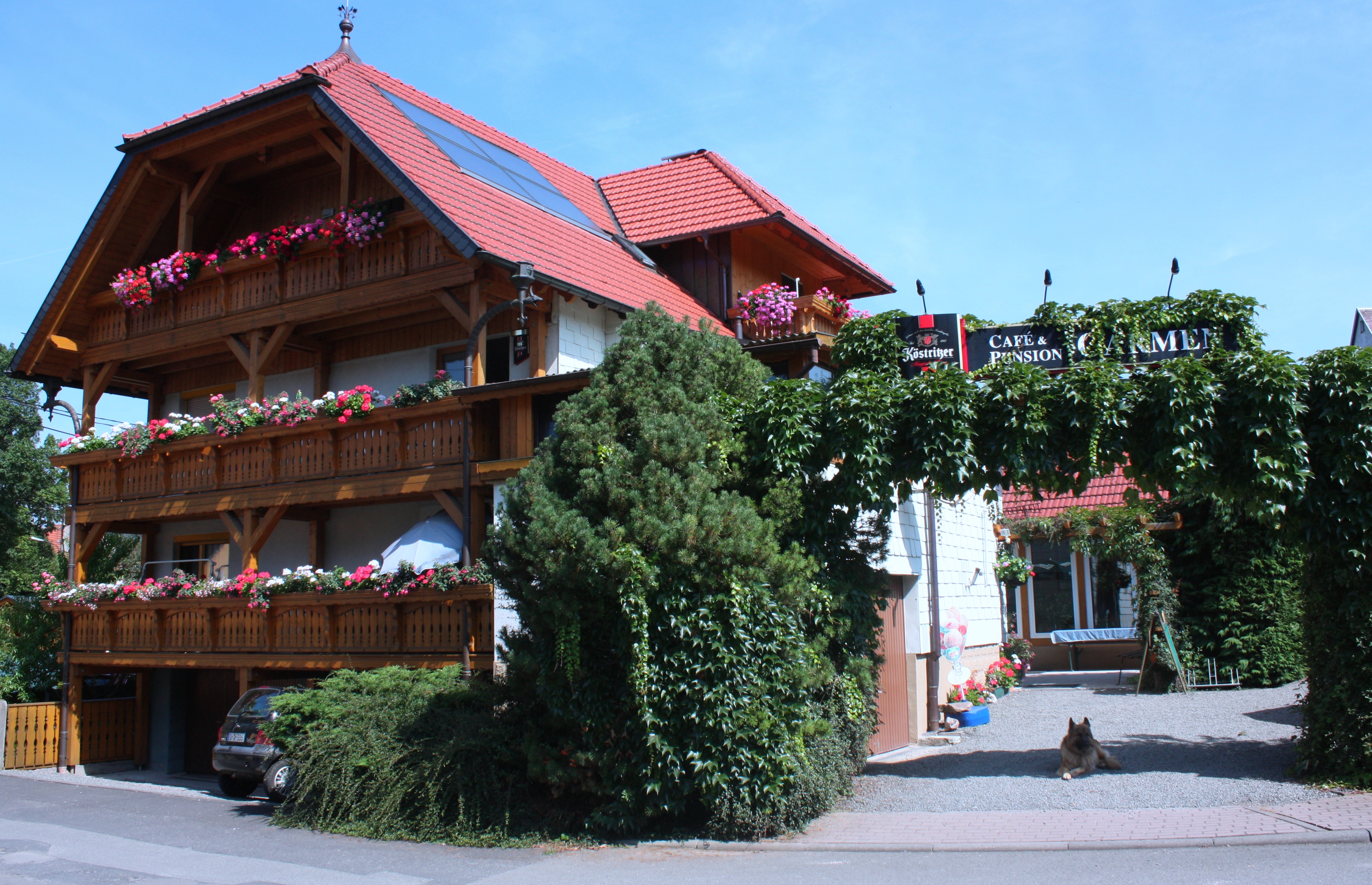 Pension Carmen-官方
