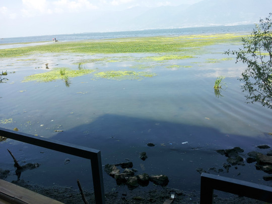 双廊-蓝影客栈主图