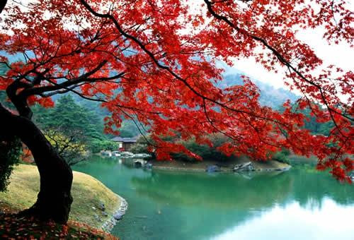 栗林公園景点图片