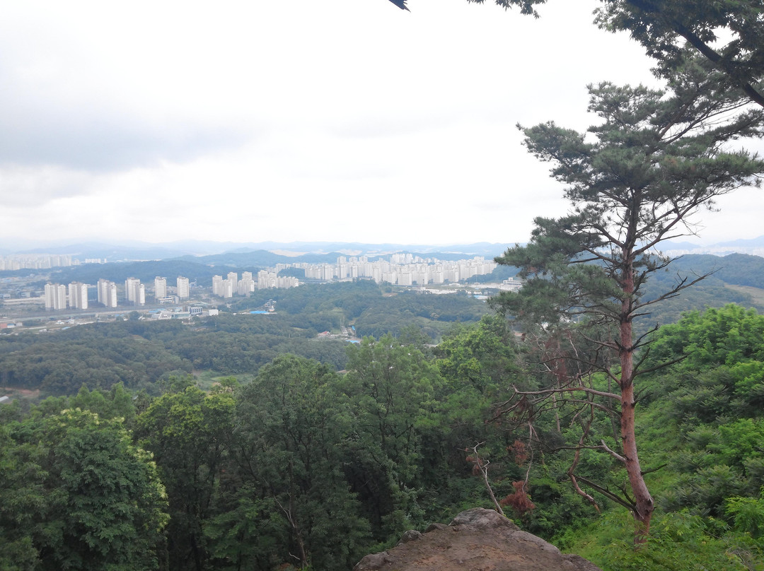 Bojeoksa-乌山市必去景点