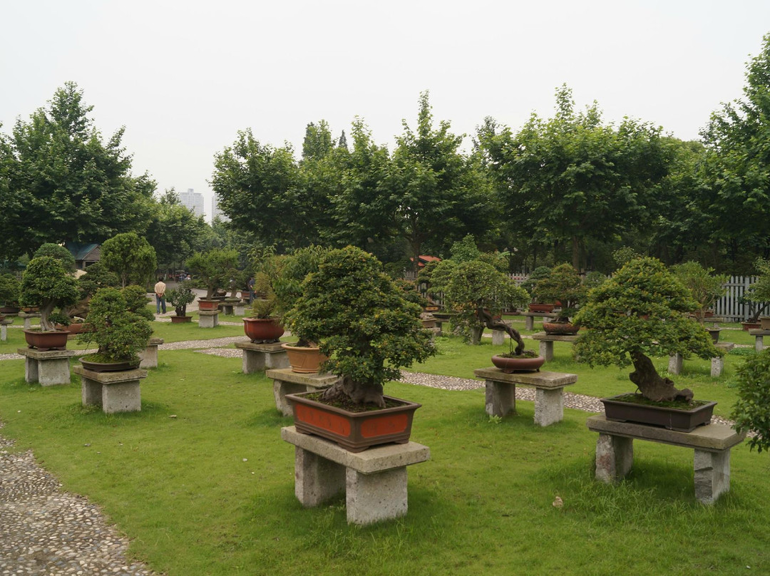 世纪公园-上海市必去景点