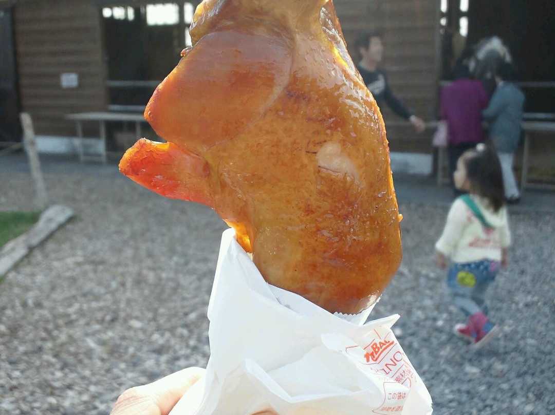 Tonden Farm Akaigawa Ranch-赤井川村必去景点