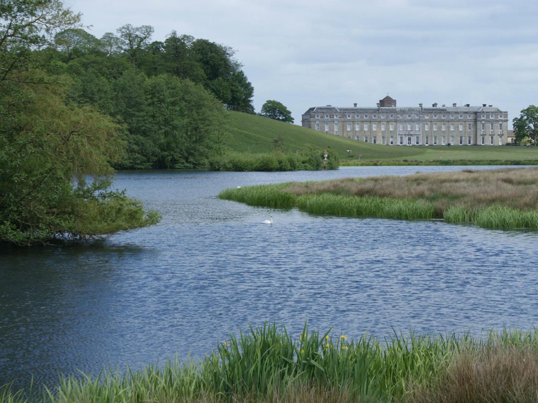 Petworth House and Park景点图片