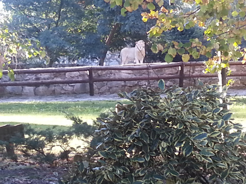 Batan旅游攻略图片