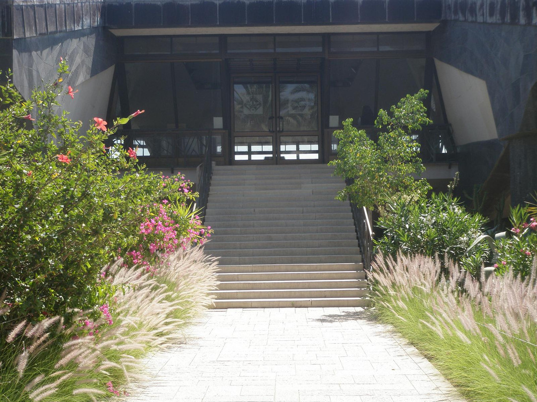 Capharnaum the Town of Jesus-Capernaum必去景点