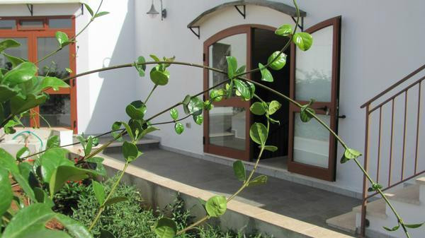 B&B Camera a Sud主图