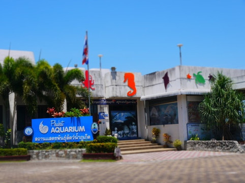 普吉水族馆-普吉岛必去景点