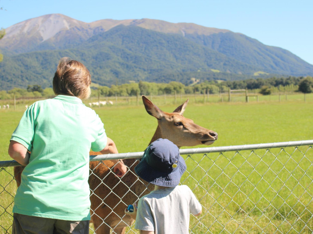 Alpine Views Farmstay and B&B主图