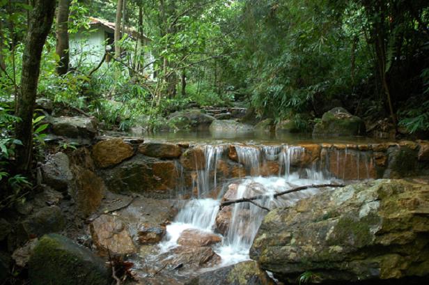 云天海原始森林度假村-官方