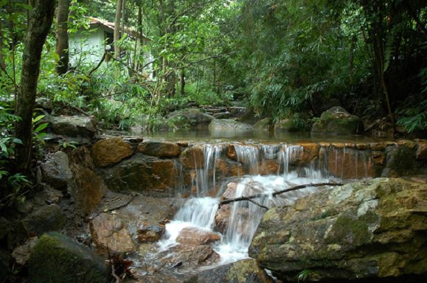 云天海原始森林度假村主图