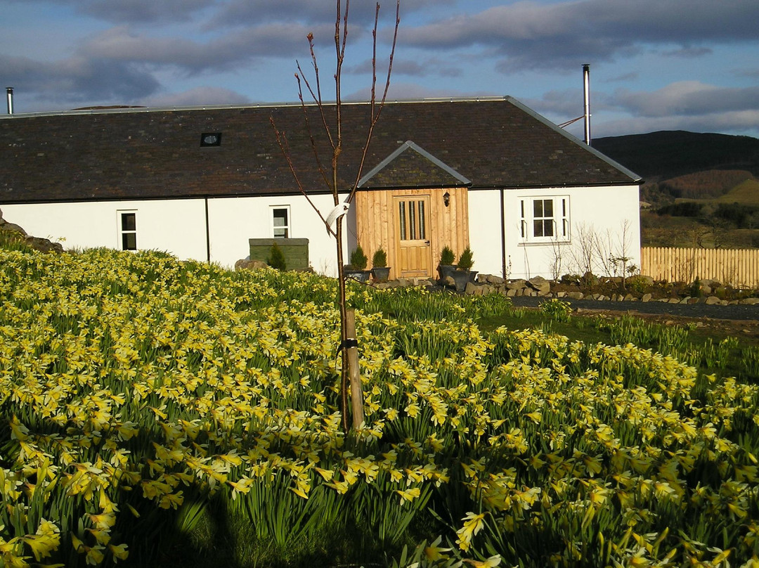Dalnoid Cottages & Treehouses