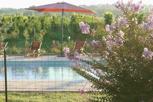 Domaine Pascaud主图