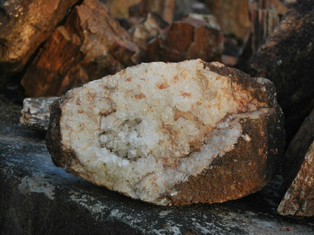 Ghughwa Fossil National Park-Dindori必去景点