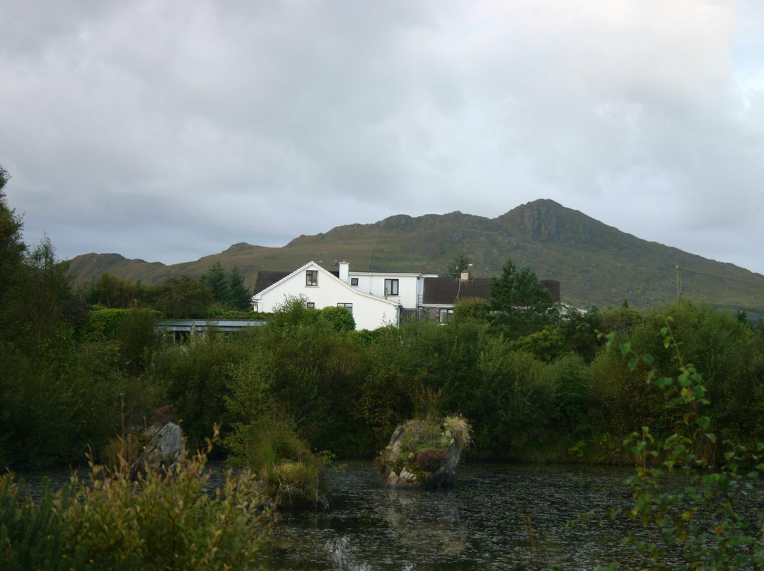 Sneem酒店住宿-Derry East Farmhouse B&B