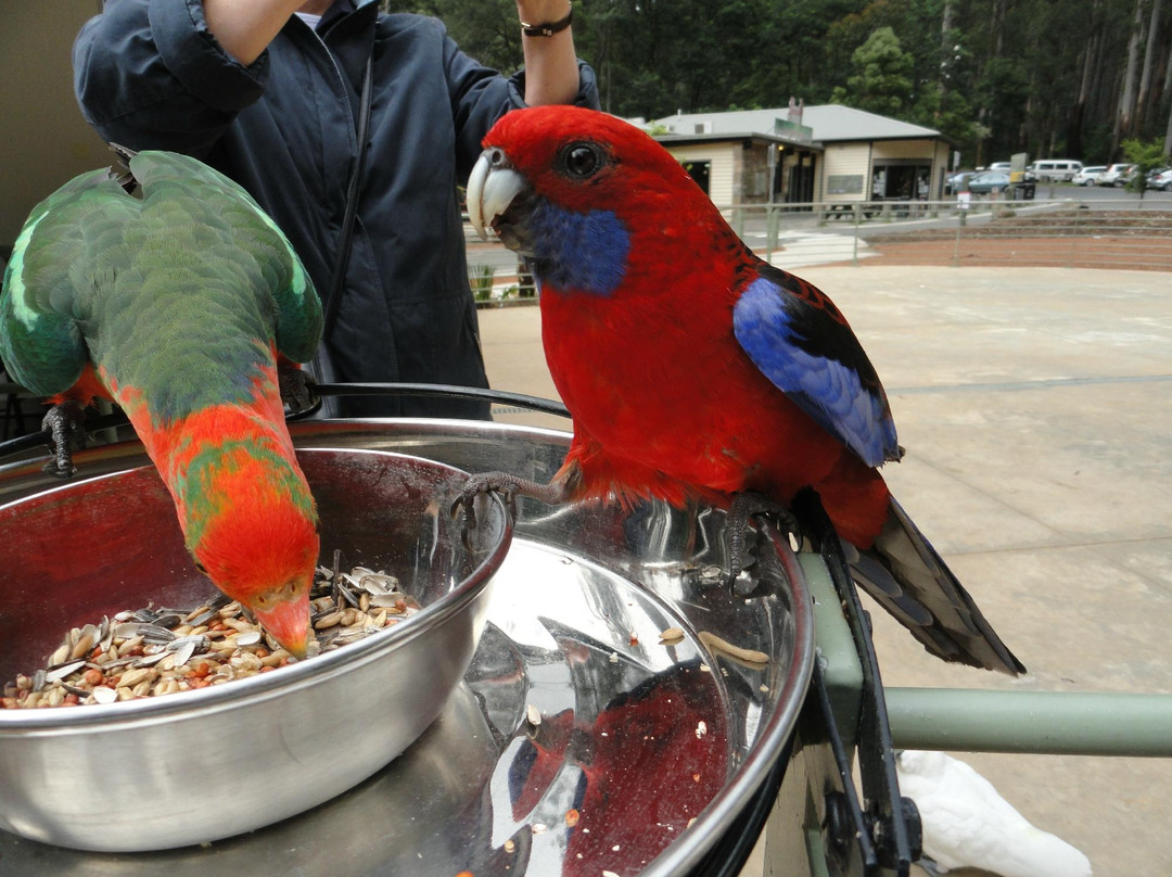 Grants on Sherbrooke-Kallista必去景点